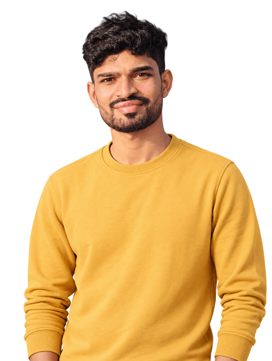 AI-generated studio portrait of Lulu Sahu